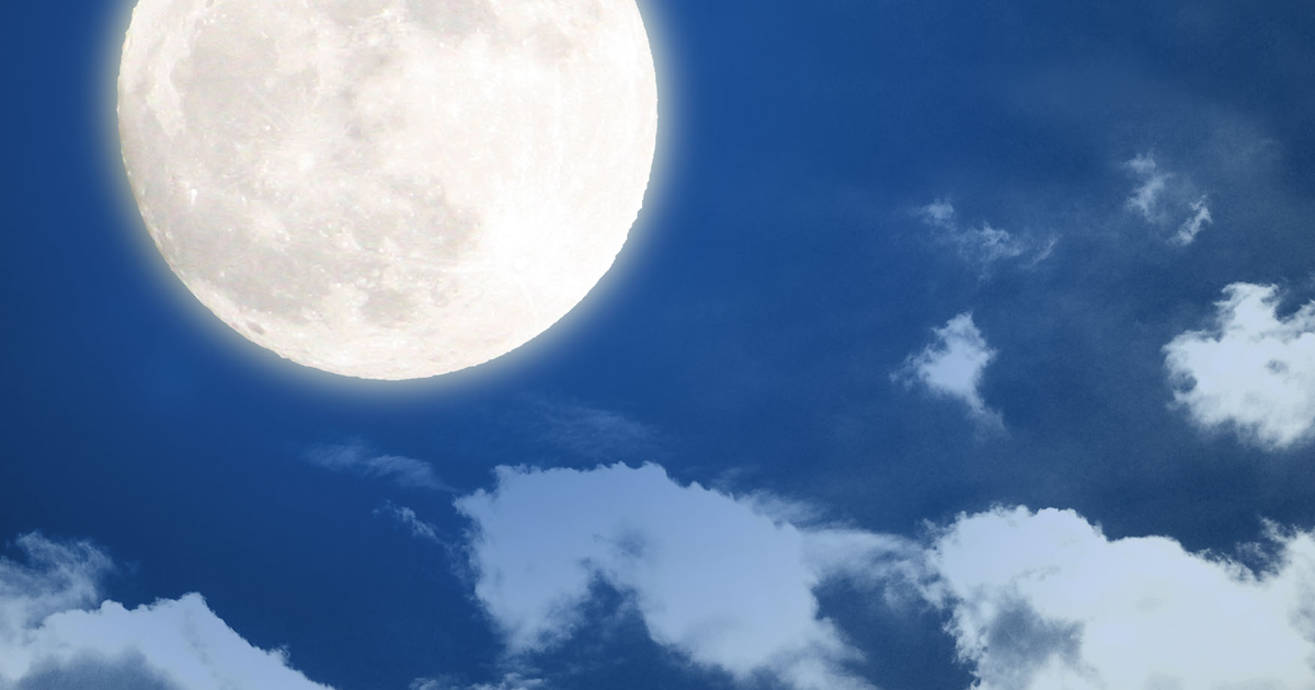 創作小説「十六夜綺譚(いざよいきたん)」表紙